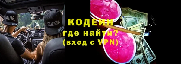 шишки Козельск
