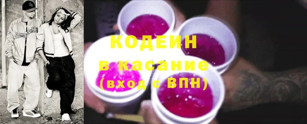 шишки Козельск