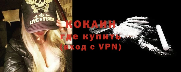 шишки Козельск
