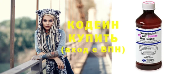 шишки Козловка