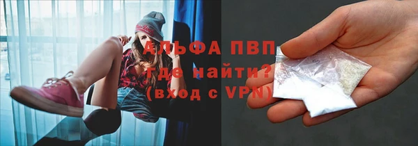 шишки Козельск