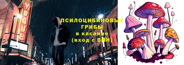 шишки Козельск