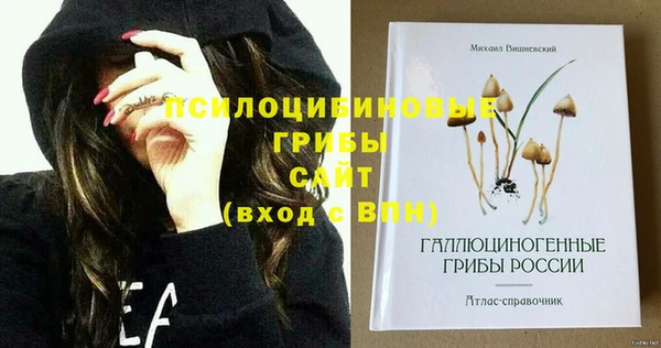 шишки Козловка