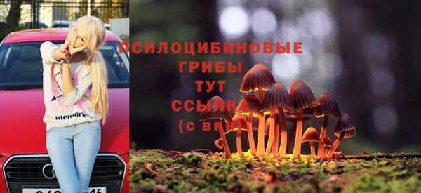 шишки Козельск