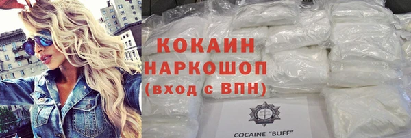 шишки Козловка