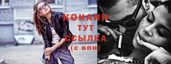 шишки Козельск