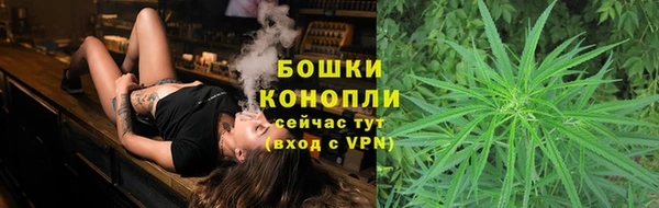 шишки Козловка