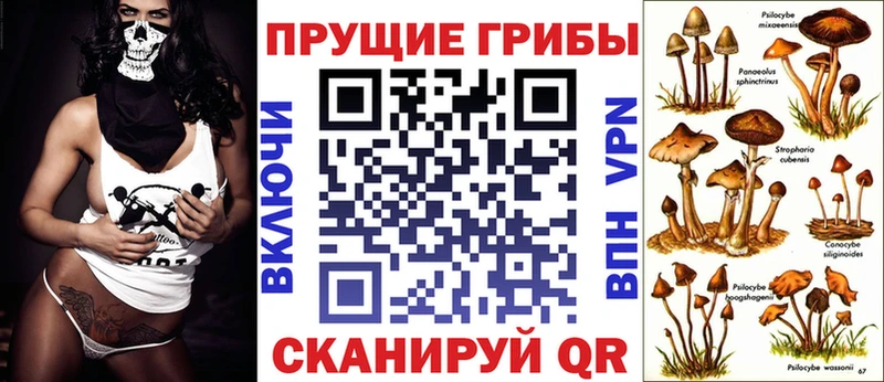 Псилоцибиновые грибы Magic Shrooms  Копейск 